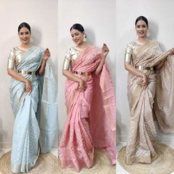 Beautiful ready to wear saree with metal belt